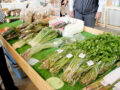 道の駅こすげ物産館で販売されている山菜